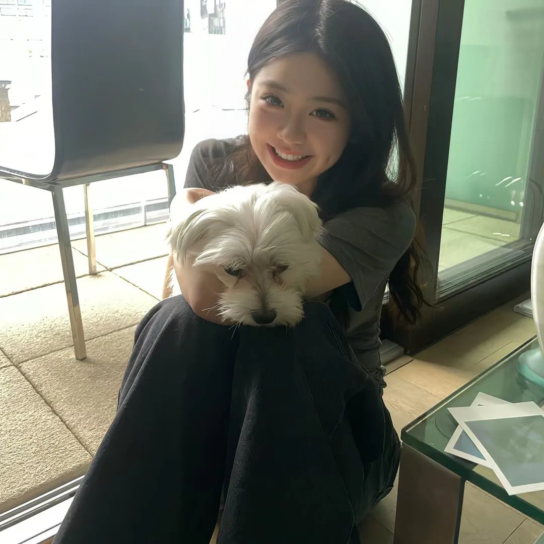 狩猎狗(电影)