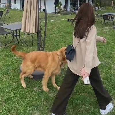 蚂蚁的觉醒